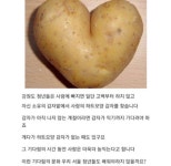 내 저장에 있는 Whtjgus님의 핀 | 웃긴 밈, 웃긴 인용구, 재미있는 문구