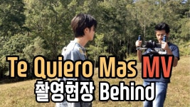 🇧🇷 #54 이곳은 뮤비 촬영장인가 동물농장인가 l 스팍의 세계일주(ENG,PT)     #SoutheastAsiaDestinations... 