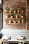 Planter shelf idea | 커피 숍 인테리어, 카페 장식, 벽돌 벽