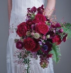 #darceyrose  #로즈앤  #davidaustin   #Alexandrafarms | Flower bouquet wedding, Diy wedding flowers, Red rose bridal bouquet