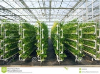 Pin by 재진 김 on 버섯 | Aquaponics system, Backyard aquaponics, Aquaponics