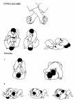 유도에 있는 조경훈 조님의 핀 | 주짓수, 무술, 유도