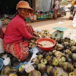 Byungho Lee(@NoWisdomTeeth) 님 | 트위터 | World cultures, Life art, Culture