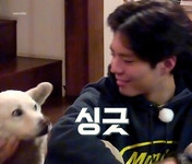 박보검 < 효리네 민박2 > 9회 180401 [ 출처 : crevette https://twitter.com/crevette1786/status/981548870193725441 ]
