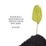 세상에 쉬운 사랑 없다.(이미지 포함) | 사랑, 명언, 생각