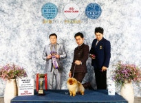 #ANTAEUS #내새끼 안티우스 Good boy#놈놈놈 #착한놈 #예쁜놈 #잘생긴놈... For see more of dogs images visit us on our... 