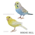 【楽天市場】BIRDIE BILLバーディ ビル「リアルな鳥のオブジェ セキセイインコ（ブルー）カナリア」鳥... 