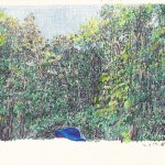 [New] The 10 Best Art Ideas Today (with Pictures) -   아버지의 모자와 숲 그림자#shadow#색연필#colorpencil#종이...