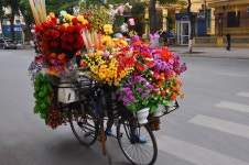 Bike Flower Shop - I want one of these... | 꽃집, 아름다운 꽃