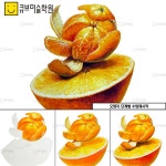 홍대앞 큐브미술학원에 있는 홍대 큐브미술학원님의 핀 - 2023 | 귤