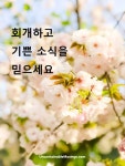 회개하고 기쁜 소식을 믿으세요 | Food, Breakfast