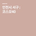 인천시 서구 : 코스모40 | 블로그, 관광