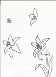 Art class ideas: Flowers, Flowers, Flowers! | 쉬운 그리기, 스케치, 그림 배우기