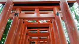 #fushimiinari#게이샤의추억촬영지#여우신사