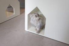 ANIMAL MEDICAL CLINIC 아프지말게 – Melloncoli Fantastic Space Lita | Pet shop, Hospitais