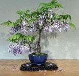 Garden에 있는 so jeong kim님의 핀