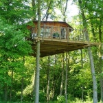 Tree house a little big maybe smaller verison | 나무 위의 집