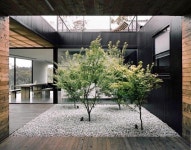 장화홍련에 있는 ye sol lee님의 핀 | 실내정원, 정원 가꾸기, 안뜰