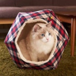 공간😻 - #고양이 #강아지 #고양이집 #강아지집 #고양이용품 #고양이장난감 #냥냥펀치 #캣스타그램 #냥스타그램 #개스타그램 #멍스타그램 #멍멍이... 