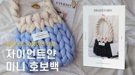 자이언트얀 미니 호보백 👜 요즘 가장 핫한 가방 2가지 색상으로 배색해서 만들기 (핸드니팅, 만두가방, 호두가방, 뜨개질 가방)[30분 완성]... 