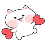 귀욤뽀짝고양이 뽀냥이! : JDD di 2020