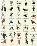 Martial arts!!! | 무술 기술, 합기도, 종합격투기