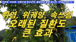 수세미  :  병원에서도 못고친 오래된 천식 이 약초 꾸준히 먹었더니 완치. - YouTube | 약초, 풀, 동물
