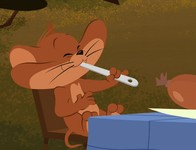 Tom And Jerry GIF | Tom and jerry, Tom and jerry gif, Tom and jerry show