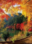 Autumn in Canada(이미지 포함) | 풍경 사진, 풍경 수채화, 풍경 그림