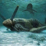 이도원님의 몰라 이미지 | 전투기, 군용기, 항공