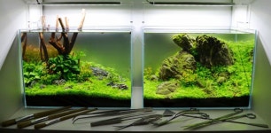 A nice demonstration using the same base layout, but different hardscapes. | 레이아웃