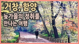 [랜선여행] 거창 함양 가을여행 / 의동마을 은행나무 가로수길, 함양상림, 개평한옥마을, 서암정사, 단풍여행, 가을여행지 추천... 