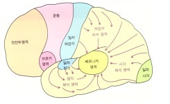어울림특수체육센터 | 단순한