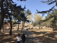 2018, 초등부 소풍 답사, 경주 | 소풍