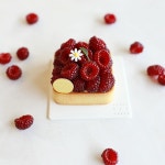 보석같은 산딸기 알알이 보석보다 어여쁜 타르트 . 기초부터... 카페디저트 #카페디저트마스터클래스 #과일타르트 #honeybeecakes... 