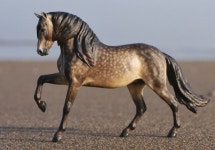 Yago painted, sculpted & photographed by Josine Vingerling. | 동물, 조각