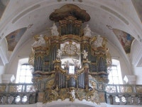 Baroque organ in Black Forest | 악기