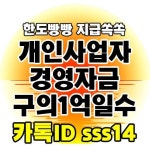 개인사업자 경영자금구의1억일수 - 2022 | 대출, 사업, 자