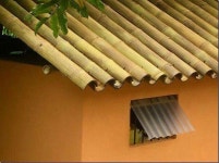 Bamboo roof | 나무 위의 집, 정원 가꾸기, 집