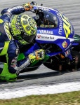 Pin van 코피도둑 op Moto