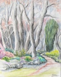 Technique of the Week — Watercolour Pencils | 수채화 그림, 그림, 색연필