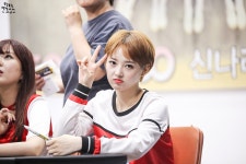 160813 소나무 [뉴썬 New Sun]