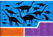 외국아동전문서적 - 키즈북세종