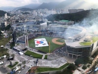 NC DINOS에 있는 민성 황님의 핀