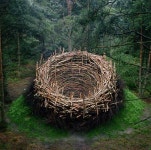 Image result for birch branches nest | 나무 예술, 정원 조형물, 예술