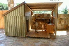 Love this, shade, food, water and shelter. Dog house | 개집, 큰 개, 동물 집
