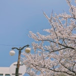 경현(xdmsqkddnfx)님의 스타일 | Pics, Style, Aesthetic