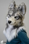 Pin by 름 이 on Fursuit | Furry art, Fursuit, Character inspiration