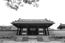 종묘의 매력 | 야외활동