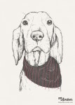 My dog #illustration - http://mgdd.pl | 강아지, 개, 동화